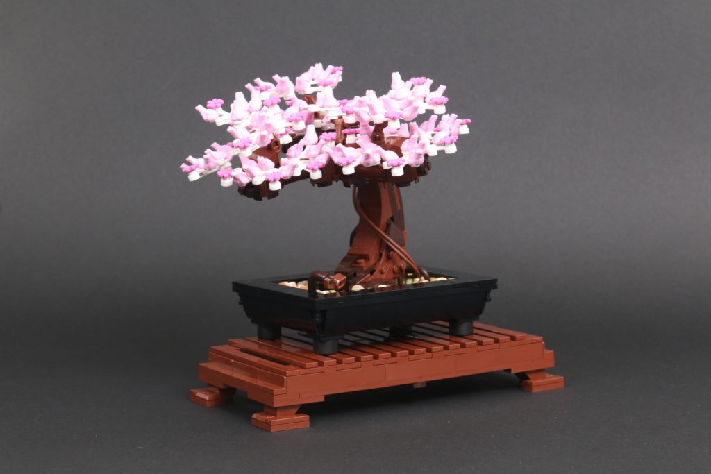 LEGO Botanical Collection 10281 Bonsai Tree review 38
